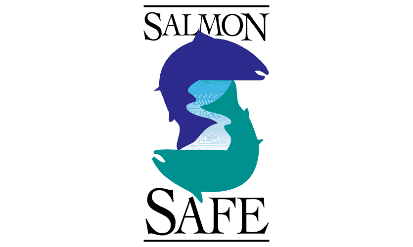 Salmon safe vector logo 2021