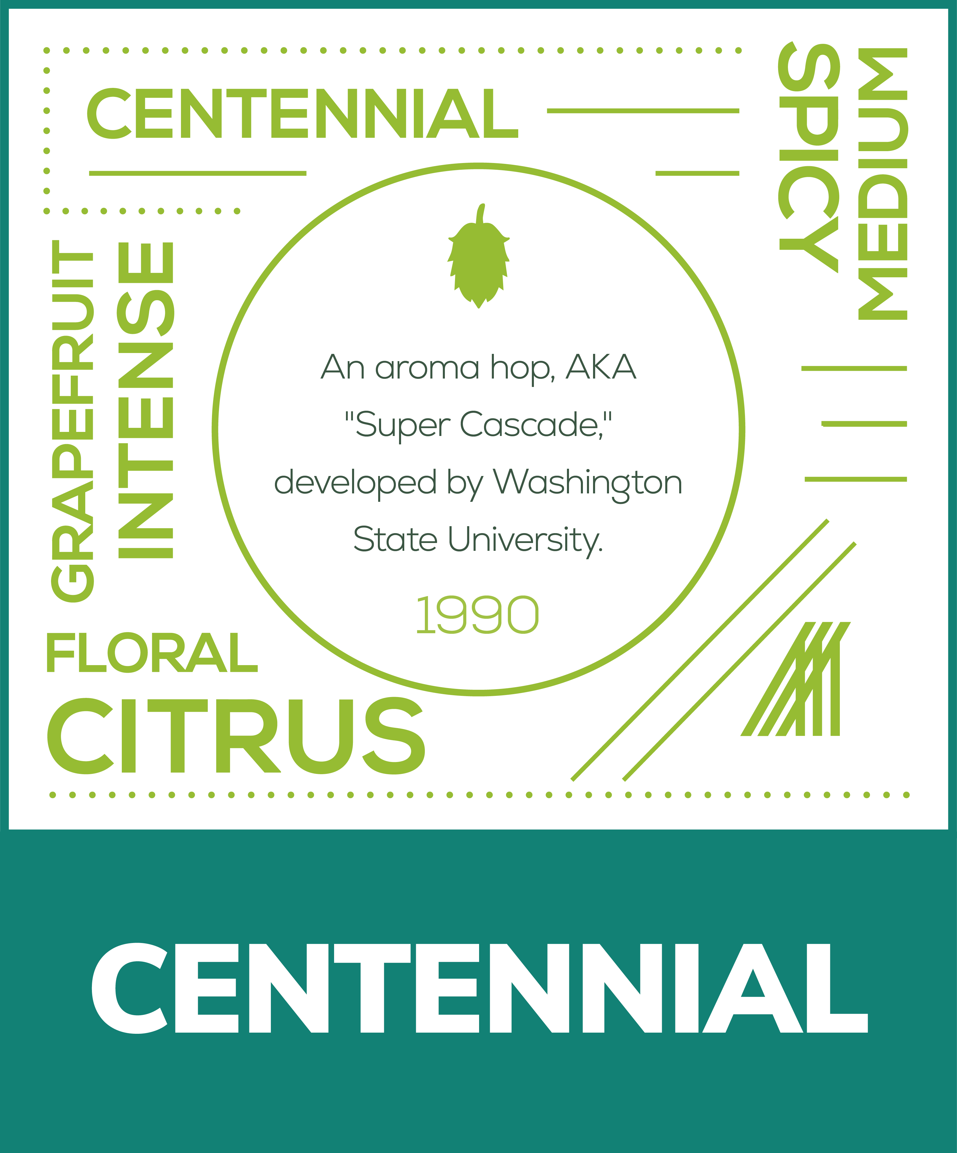 Morrier Hop Centennial