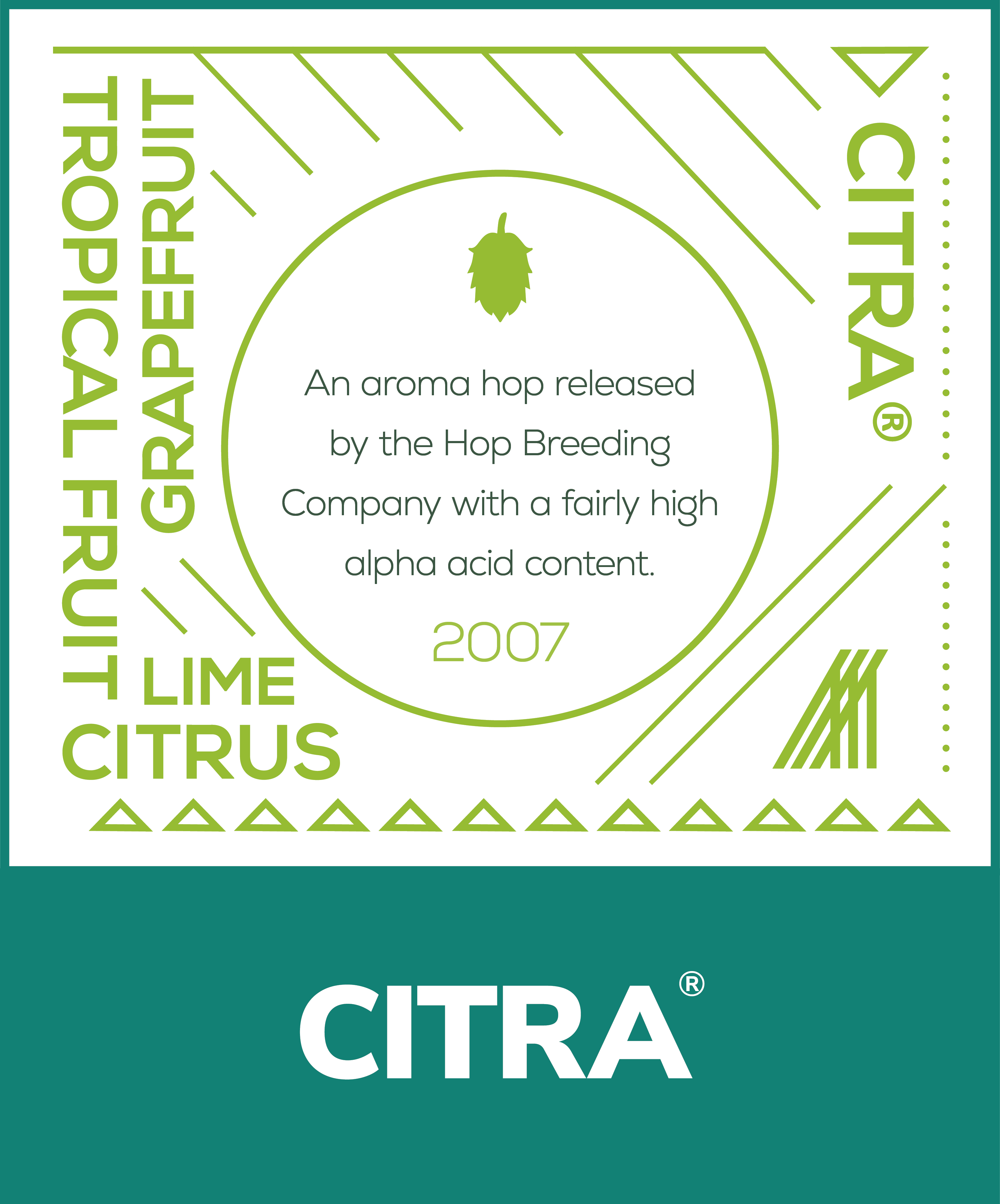 Morrier Hop Citra