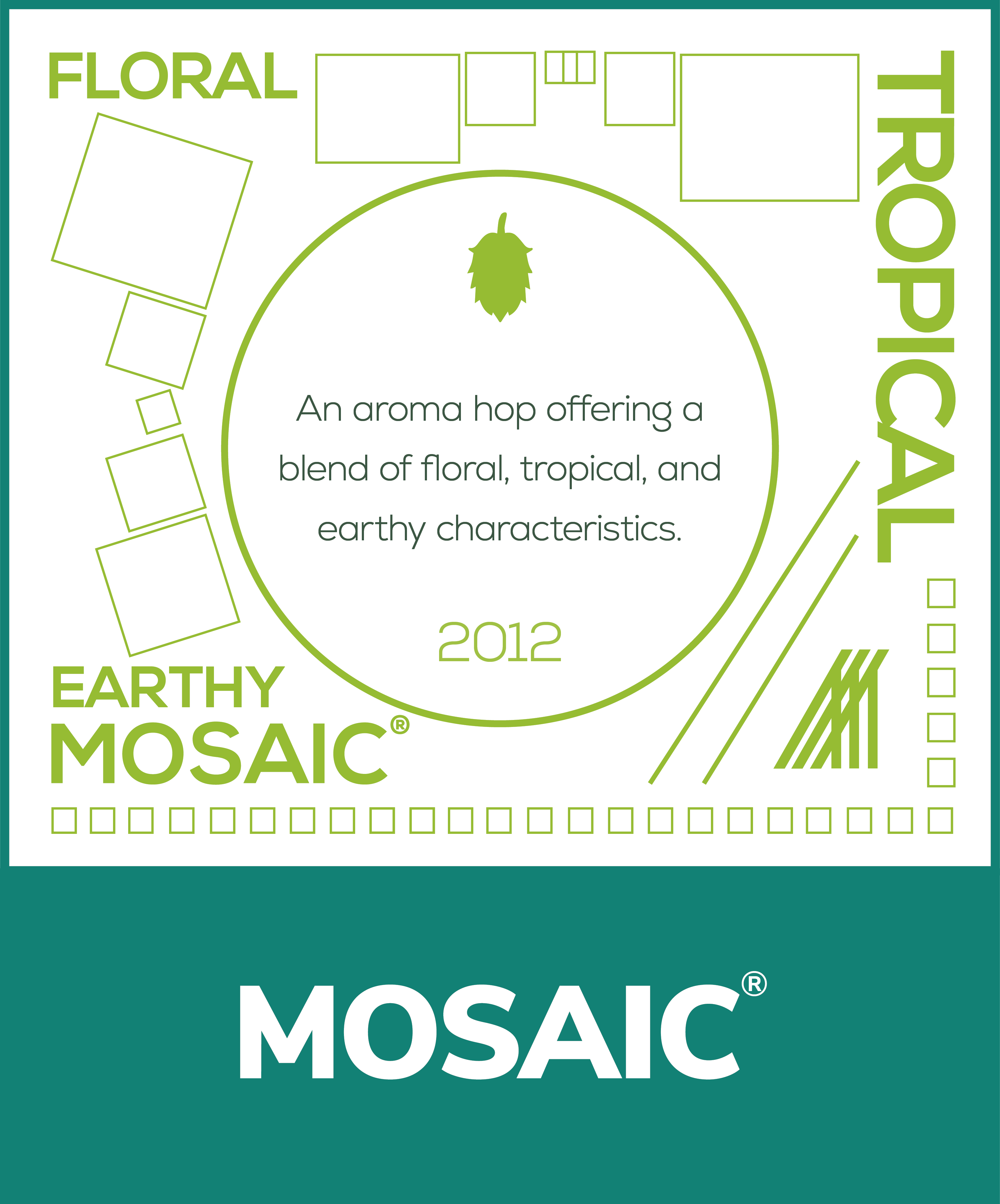 Morrier Hop Mosaic